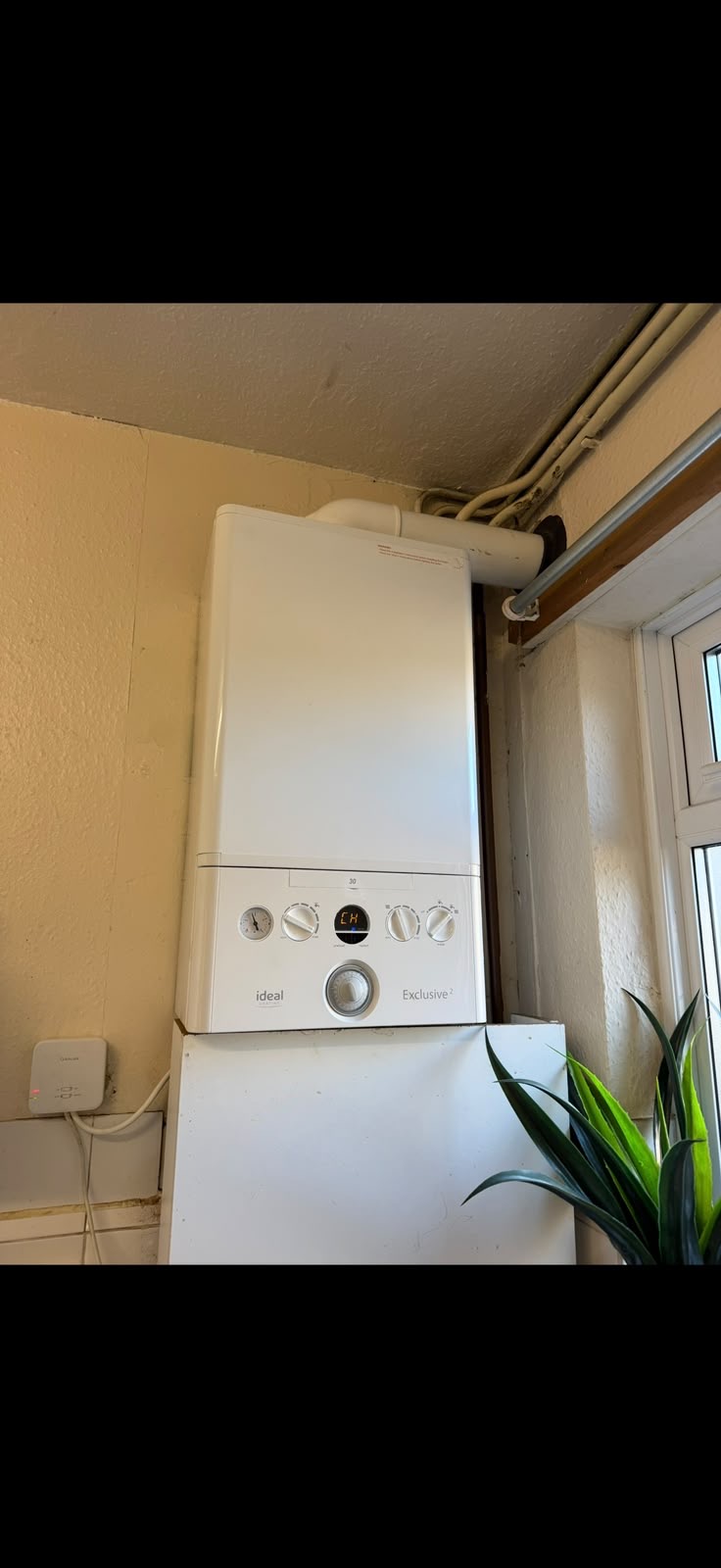 Professional Boiler Installation